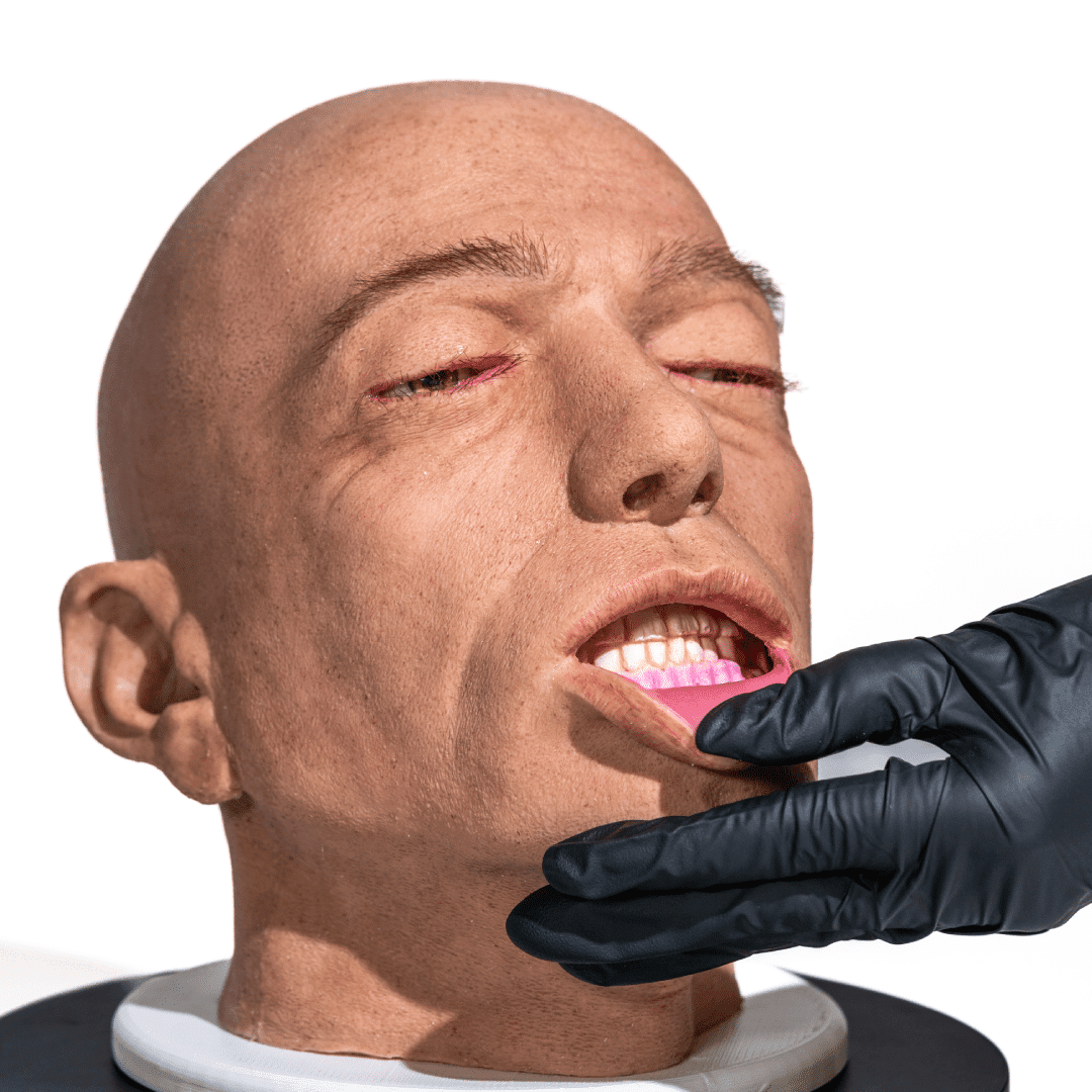 Head with opening eyes and mouth 1 full-head-simulator-with-eye-and-mouth-opening-for-medical-practice-realmedsimulators