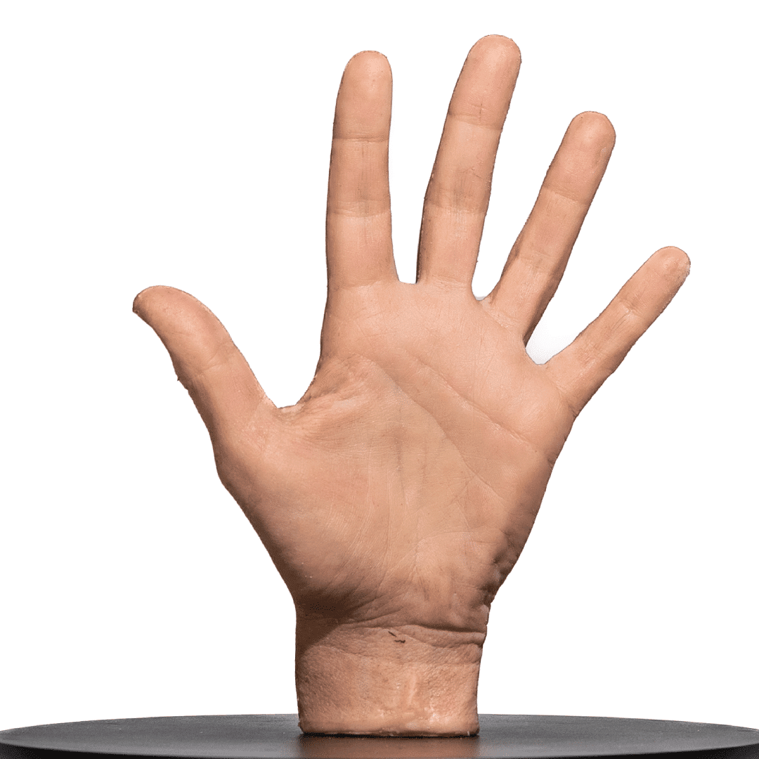 Hand 2 simulador-mano-para-practicas-medicas-realmedsimulators-palma