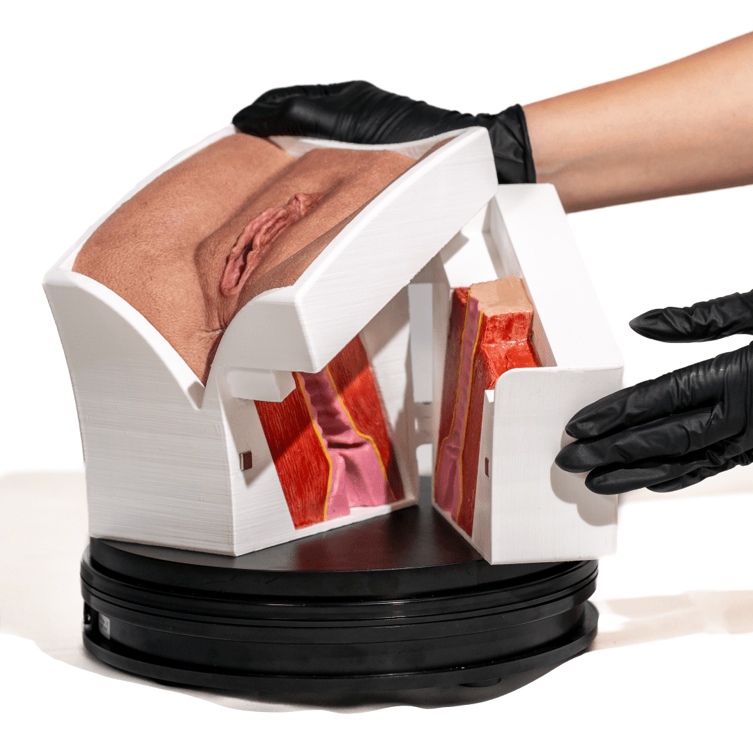 Vagina with opening 2 simulador-vagina-con-apertura-para-practicas-medicas-realmedsimulators-interior