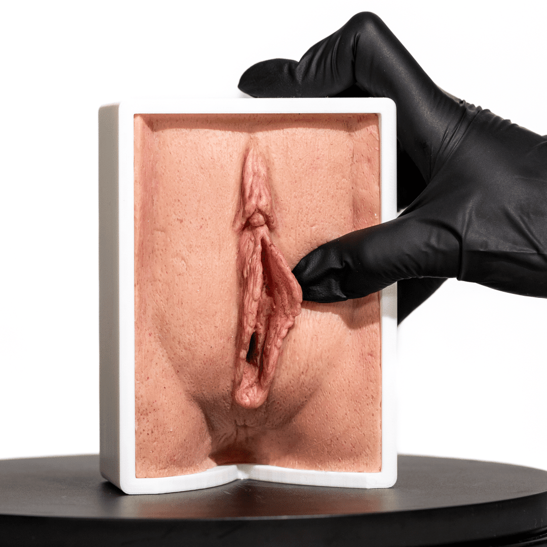 Vagina 2 simulador-vagina-para-practicas-medicas-realmedsimulators-labios